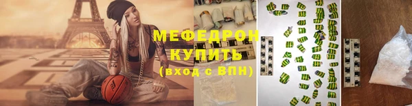 индика Няндома