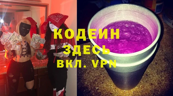 индика Няндома