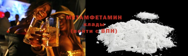 индика Няндома