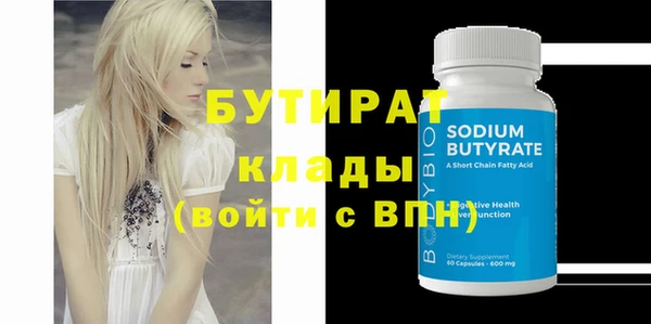индика Няндома