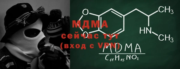 индика Няндома