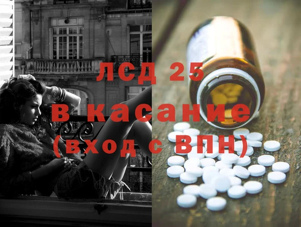 индика Няндома