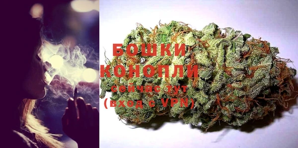 индика Няндома