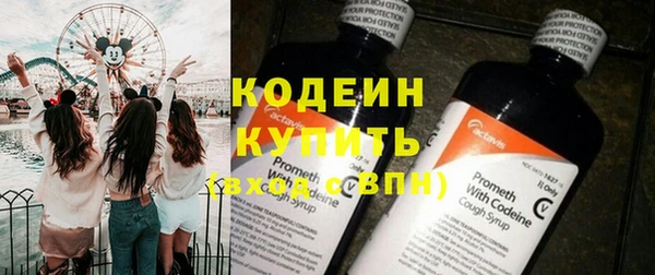 индика Няндома