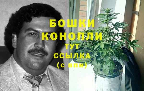 индика Няндома