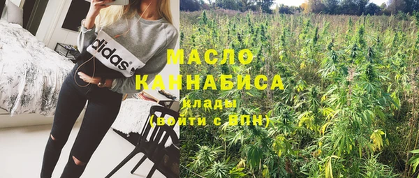 индика Няндома