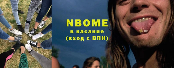 индика Няндома