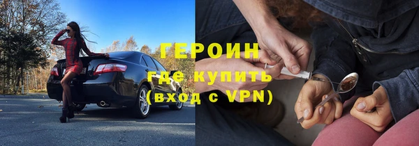 индика Няндома