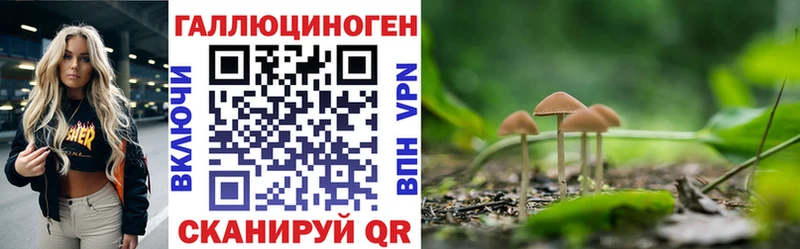 Галлюциногенные грибы Magic Shrooms Гдов