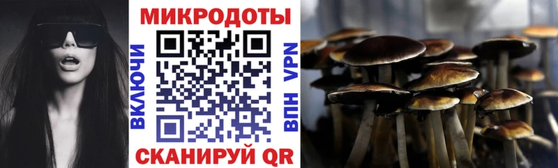 Галлюциногенные грибы Magic Shrooms  Купить закладки  Гдов 